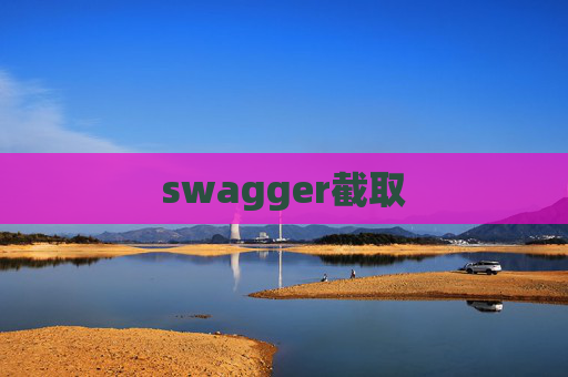 swagger截取